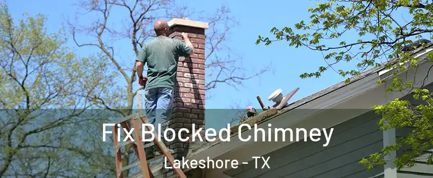 Fix Blocked Chimney Lakeshore - TX