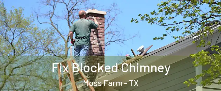 Fix Blocked Chimney Moss Farm - TX