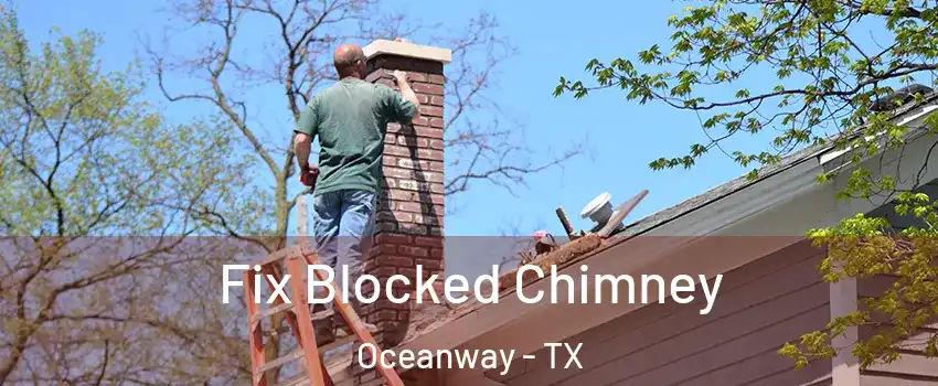 Fix Blocked Chimney Oceanway - TX