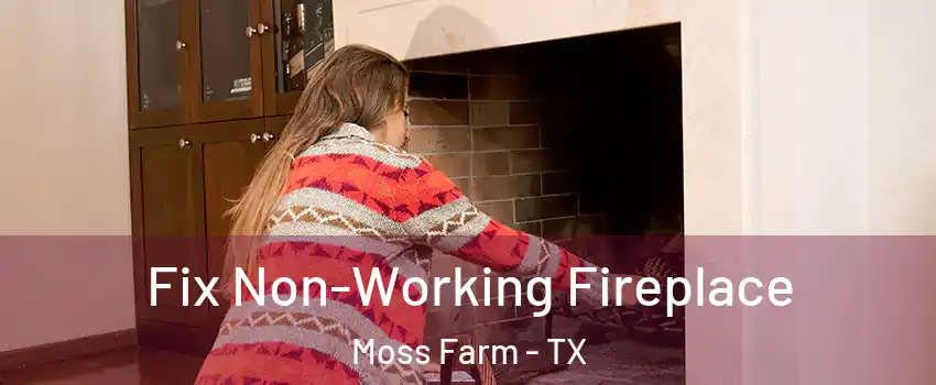 Fix Non-Working Fireplace Moss Farm - TX