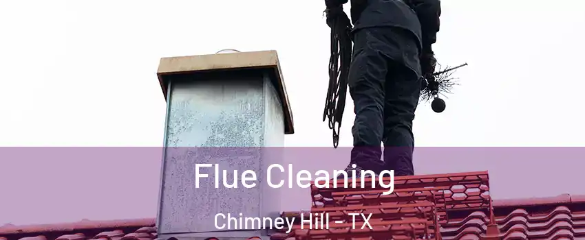 Flue Cleaning Chimney Hill - TX