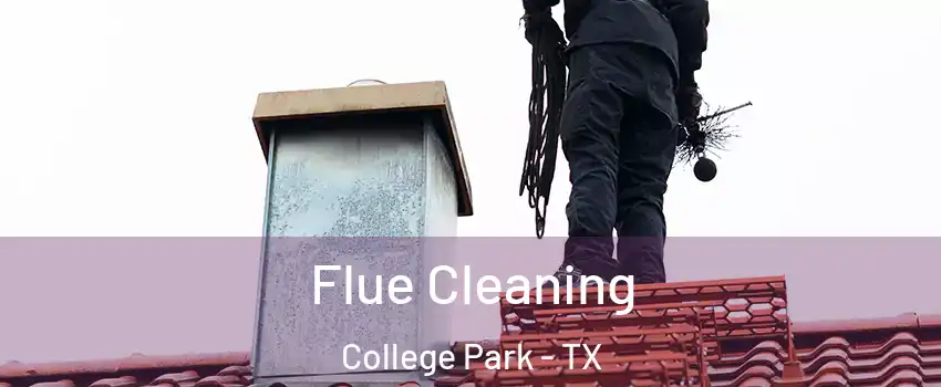 Flue Cleaning College Park - TX