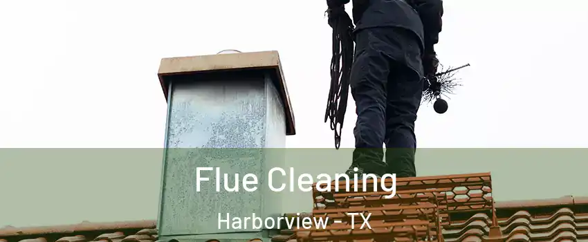 Flue Cleaning Harborview - TX