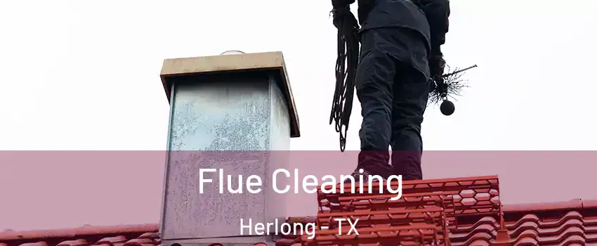 Flue Cleaning Herlong - TX