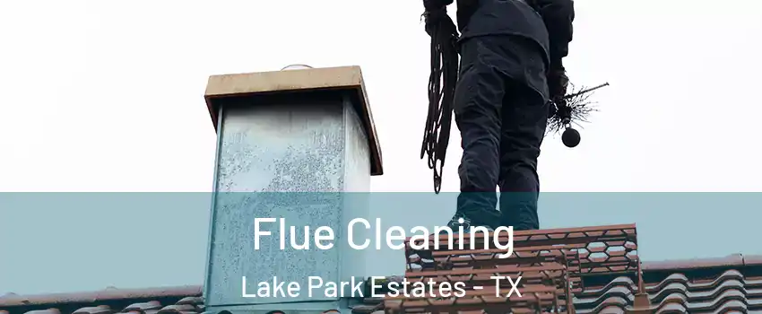 Flue Cleaning Lake Park Estates - TX