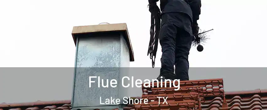 Flue Cleaning Lake Shore - TX