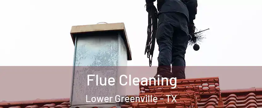 Flue Cleaning Lower Greenville - TX