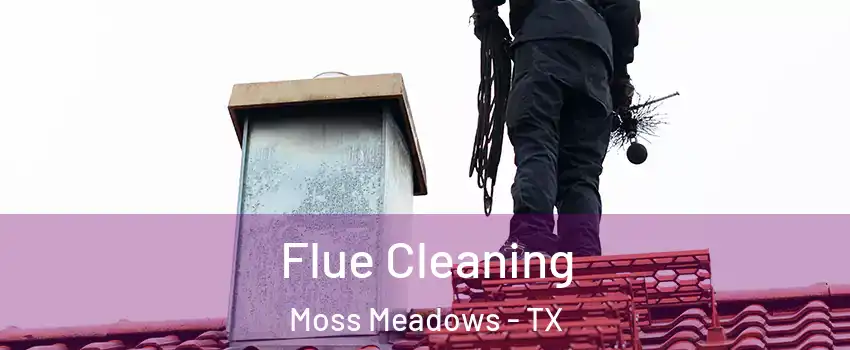 Flue Cleaning Moss Meadows - TX