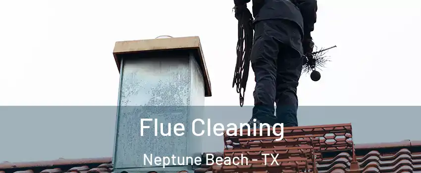 Flue Cleaning Neptune Beach - TX