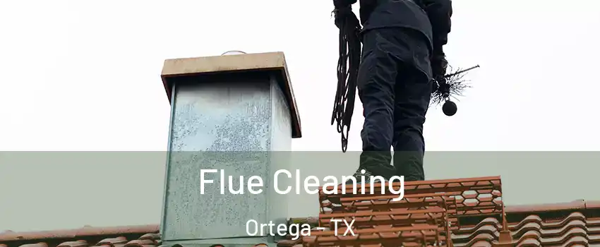 Flue Cleaning Ortega - TX