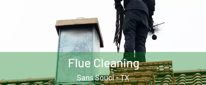 Flue Cleaning Sans Souci - TX