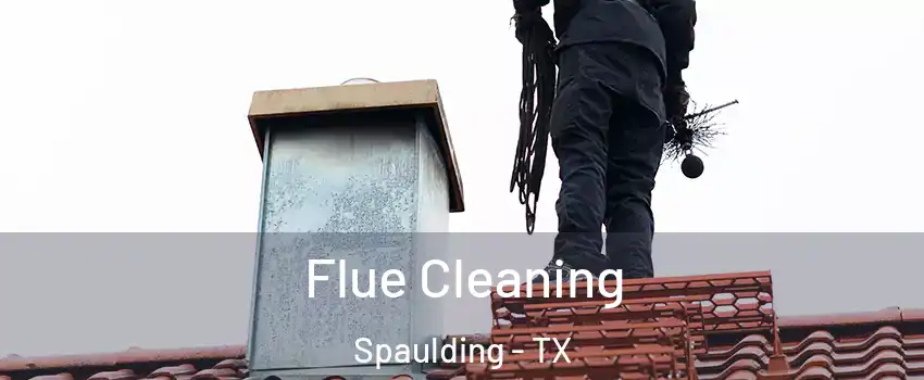 Flue Cleaning Spaulding - TX