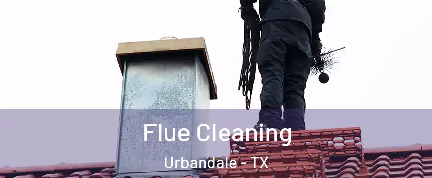 Flue Cleaning Urbandale - TX