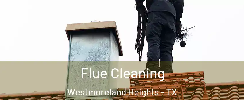 Flue Cleaning Westmoreland Heights - TX