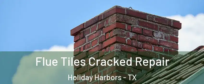 Flue Tiles Cracked Repair Holiday Harbors - TX