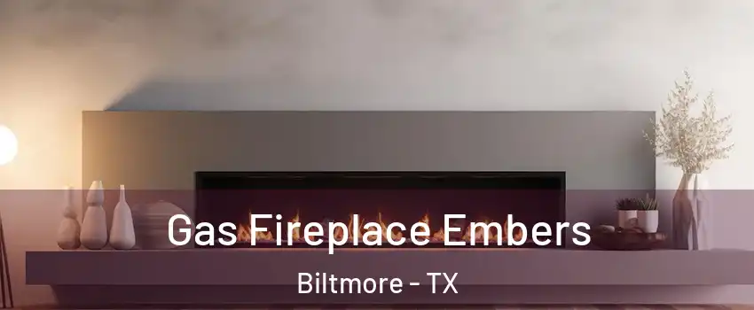 Gas Fireplace Embers Biltmore - TX