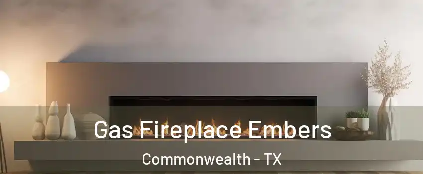 Gas Fireplace Embers Commonwealth - TX