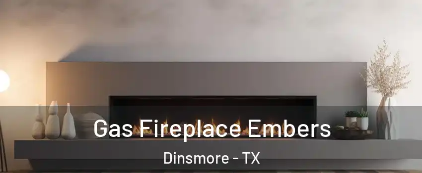 Gas Fireplace Embers Dinsmore - TX