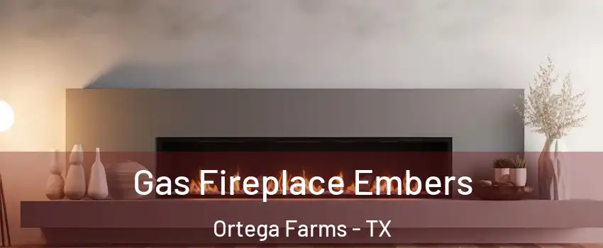 Gas Fireplace Embers Ortega Farms - TX