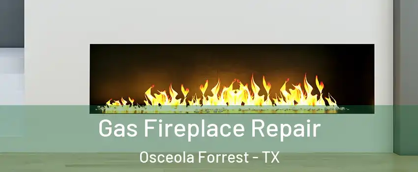 Gas Fireplace Repair Osceola Forrest - TX