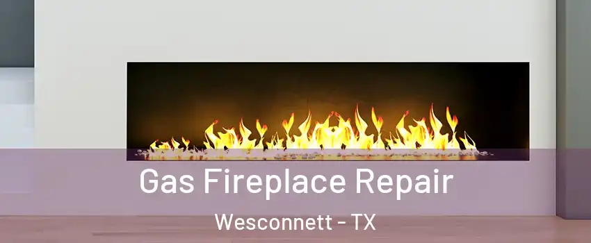 Gas Fireplace Repair Wesconnett - TX