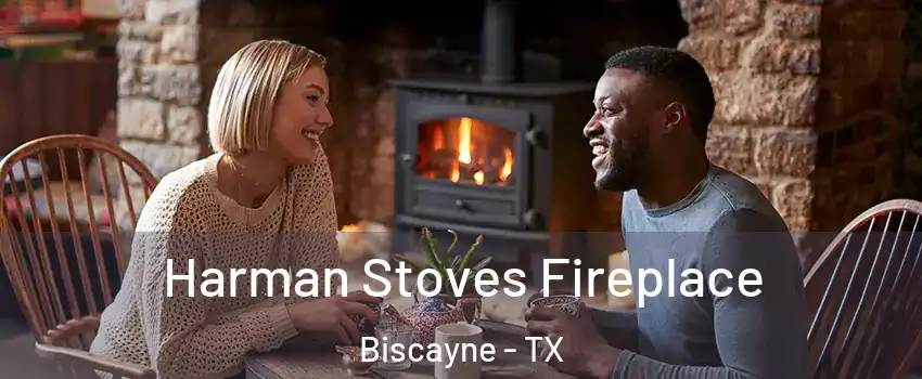 Harman Stoves Fireplace Biscayne - TX