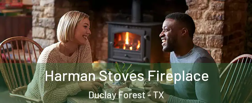 Harman Stoves Fireplace Duclay Forest - TX