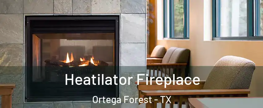 Heatilator Fireplace Ortega Forest - TX