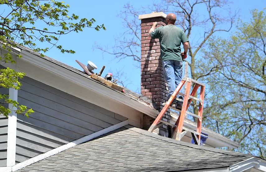 Chimney & Fireplace Inspections Services in Dallas, TX