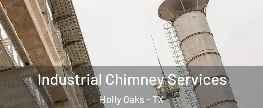 Industrial Chimney Services Holly Oaks - TX