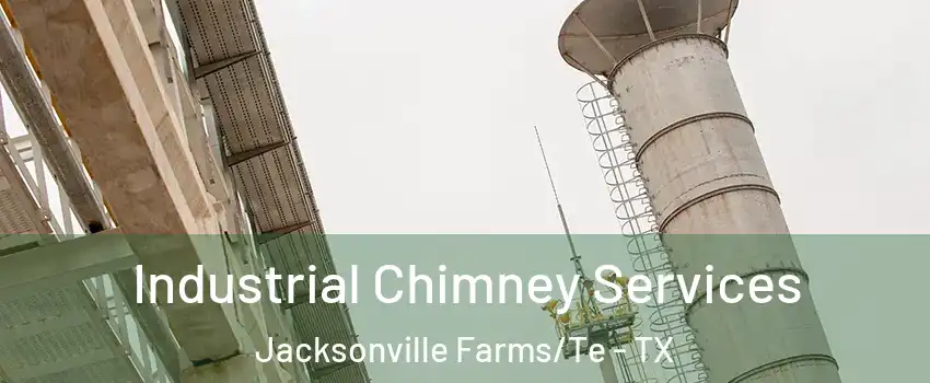 Industrial Chimney Services Jacksonville Farms/Te - TX