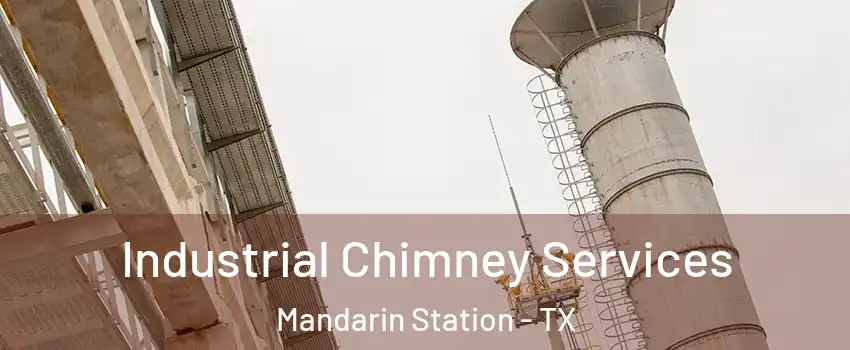 Industrial Chimney Services Mandarin Station - TX