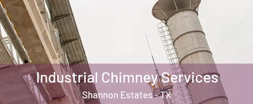 Industrial Chimney Services Shannon Estates - TX