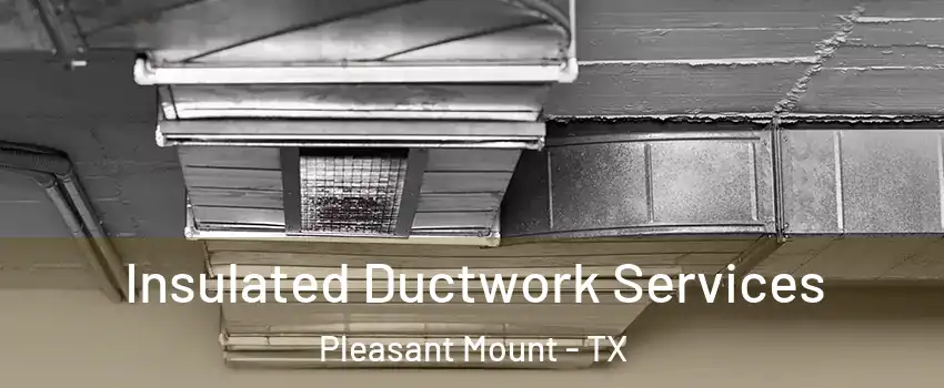 Insulated Ductwork Services Pleasant Mount - TX