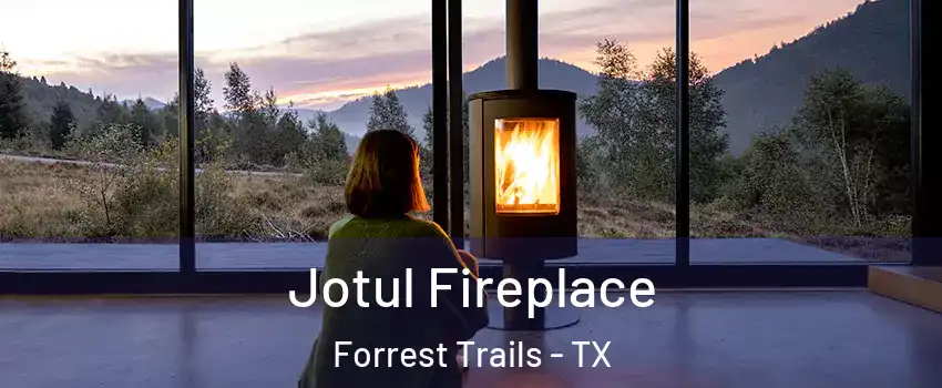 Jotul Fireplace Forrest Trails - TX