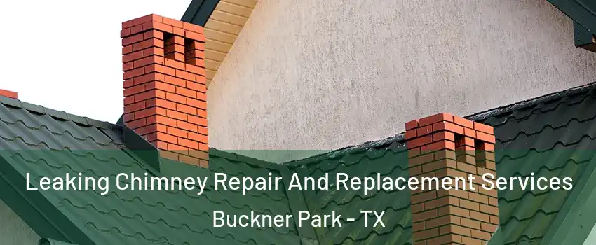 Leaking Chimney Repair And Replacement Services Buckner Park - TX