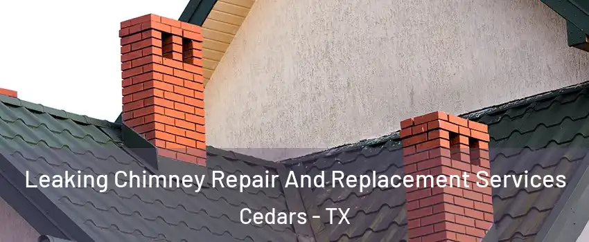 Leaking Chimney Repair And Replacement Services Cedars - TX