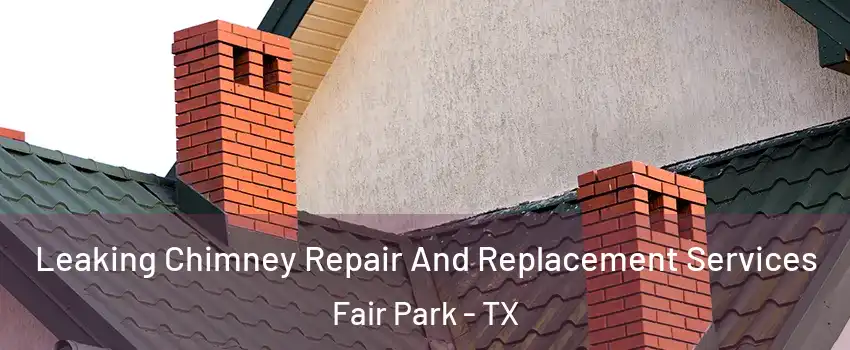 Leaking Chimney Repair And Replacement Services Fair Park - TX