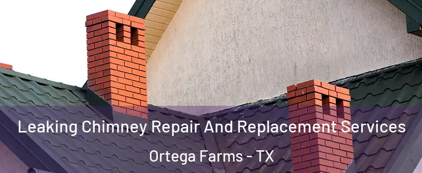 Leaking Chimney Repair And Replacement Services Ortega Farms - TX