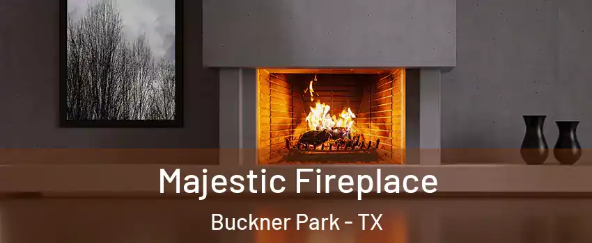 Majestic Fireplace Buckner Park - TX