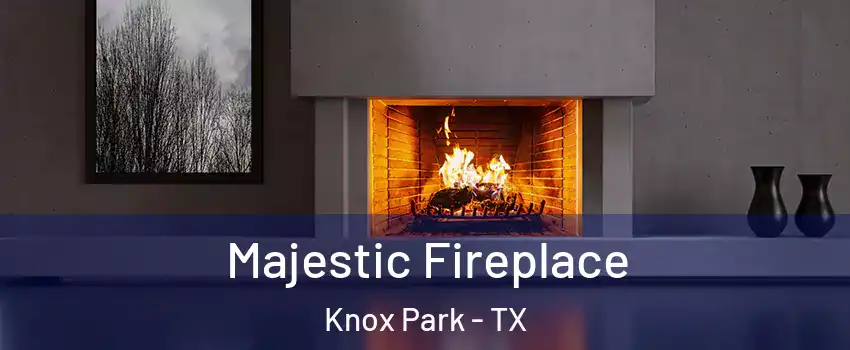 Majestic Fireplace Knox Park - TX