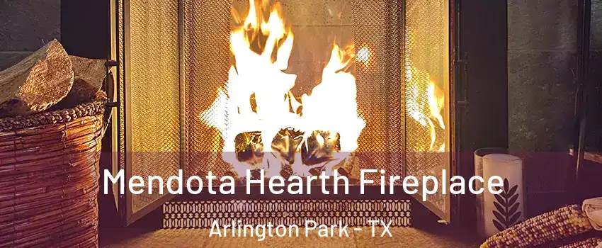 Mendota Hearth Fireplace Arlington Park - TX