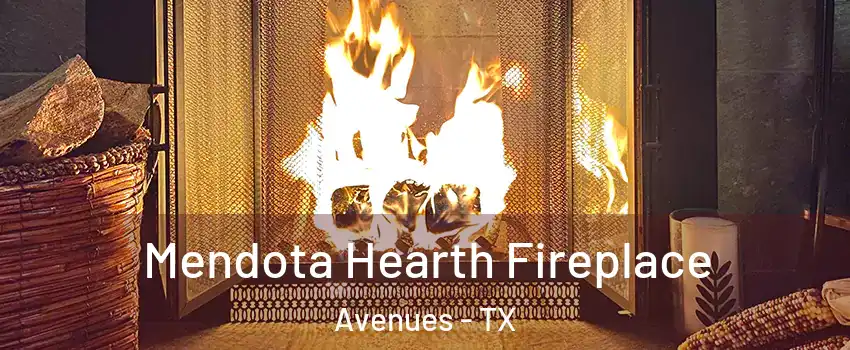 Mendota Hearth Fireplace Avenues - TX