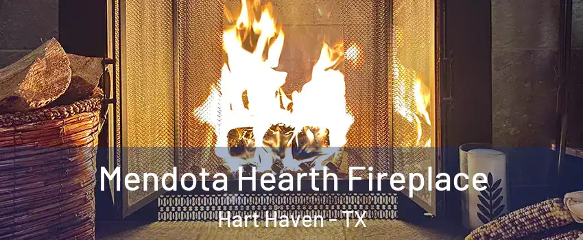 Mendota Hearth Fireplace Hart Haven - TX