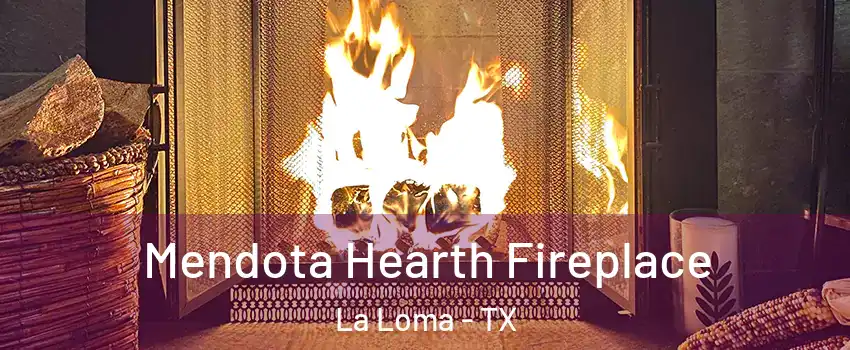 Mendota Hearth Fireplace La Loma - TX