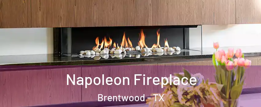 Napoleon Fireplace Brentwood - TX