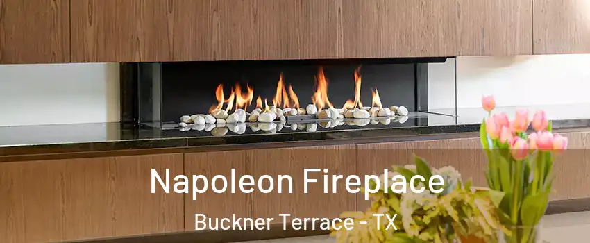 Napoleon Fireplace Buckner Terrace - TX