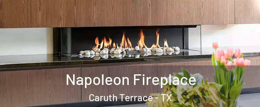 Napoleon Fireplace Caruth Terrace - TX