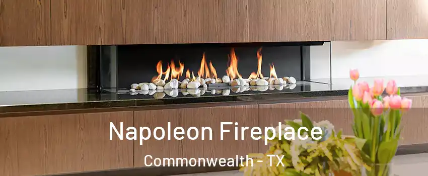 Napoleon Fireplace Commonwealth - TX