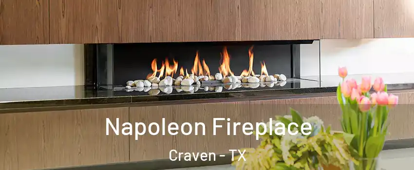 Napoleon Fireplace Craven - TX